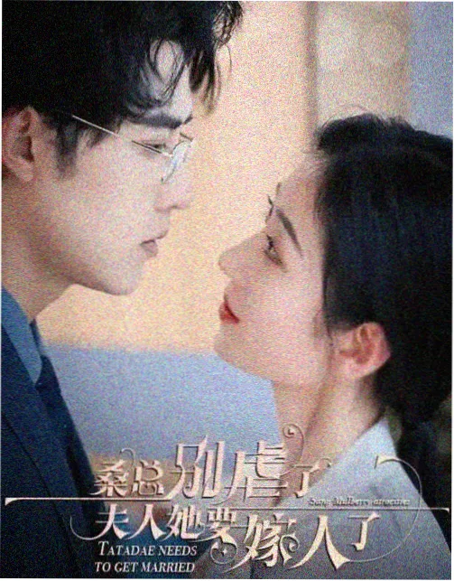 条目补录记录配图